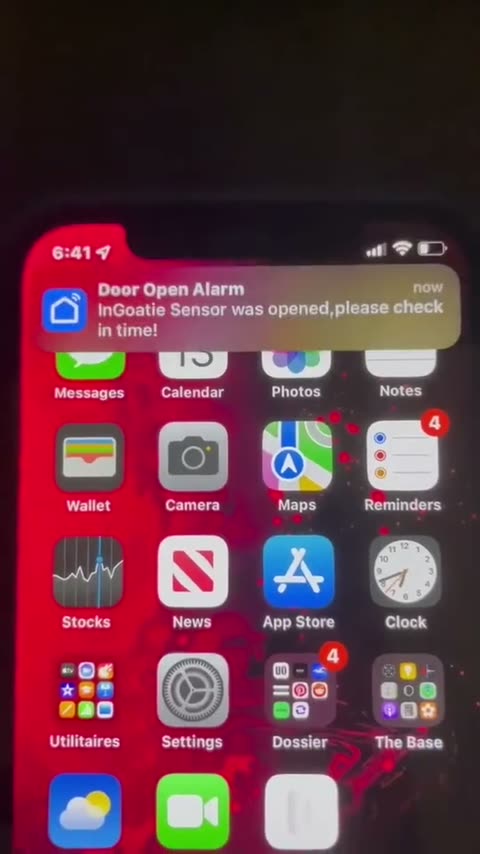 Lisa TikTok ad — peak attention frame