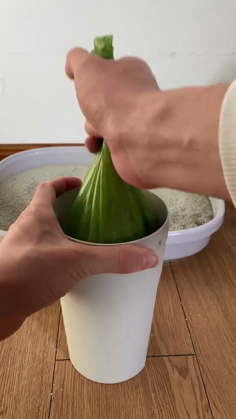 Paga En Casa TikTok ad — peak attention frame