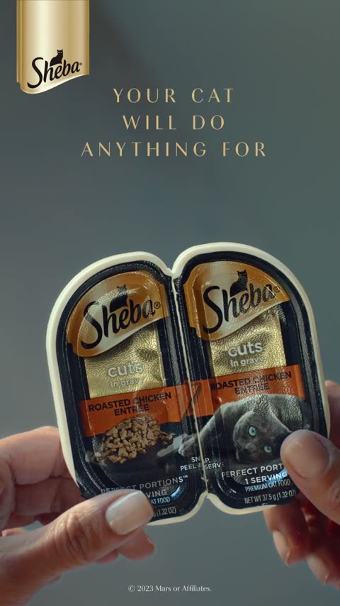 SHEBA® What Cats Want™ TikTok ad — peak attention frame